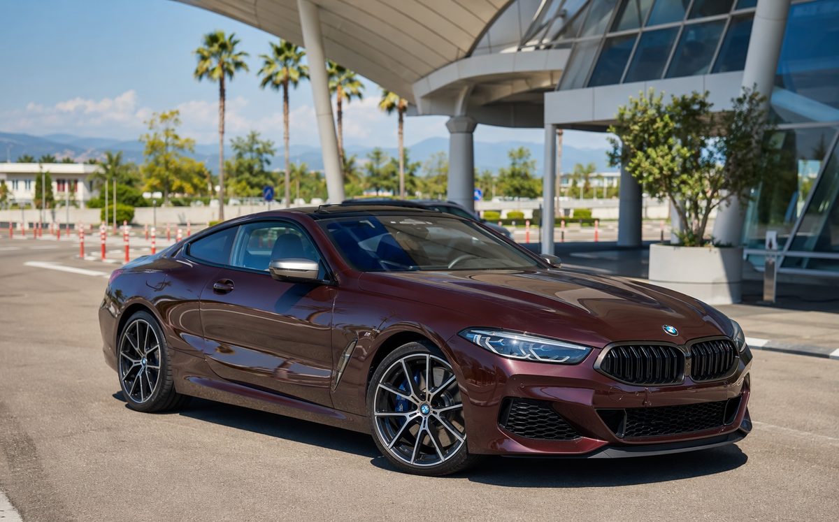 BMW 850i xDrive — фото 1