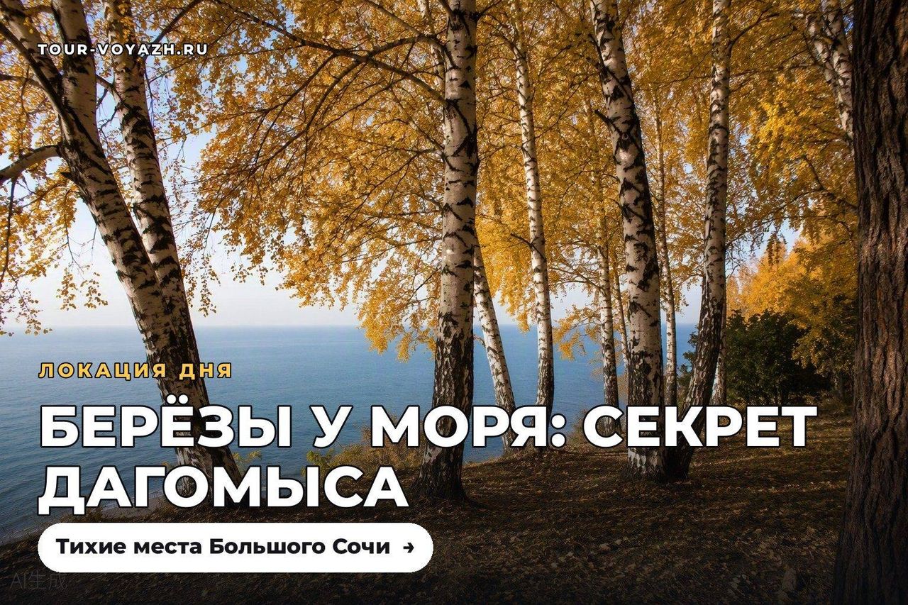 Локация дня: парк «Березовая роща» в Дагомысе